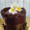Chocolate Cake (Pastel de Chocolate)
